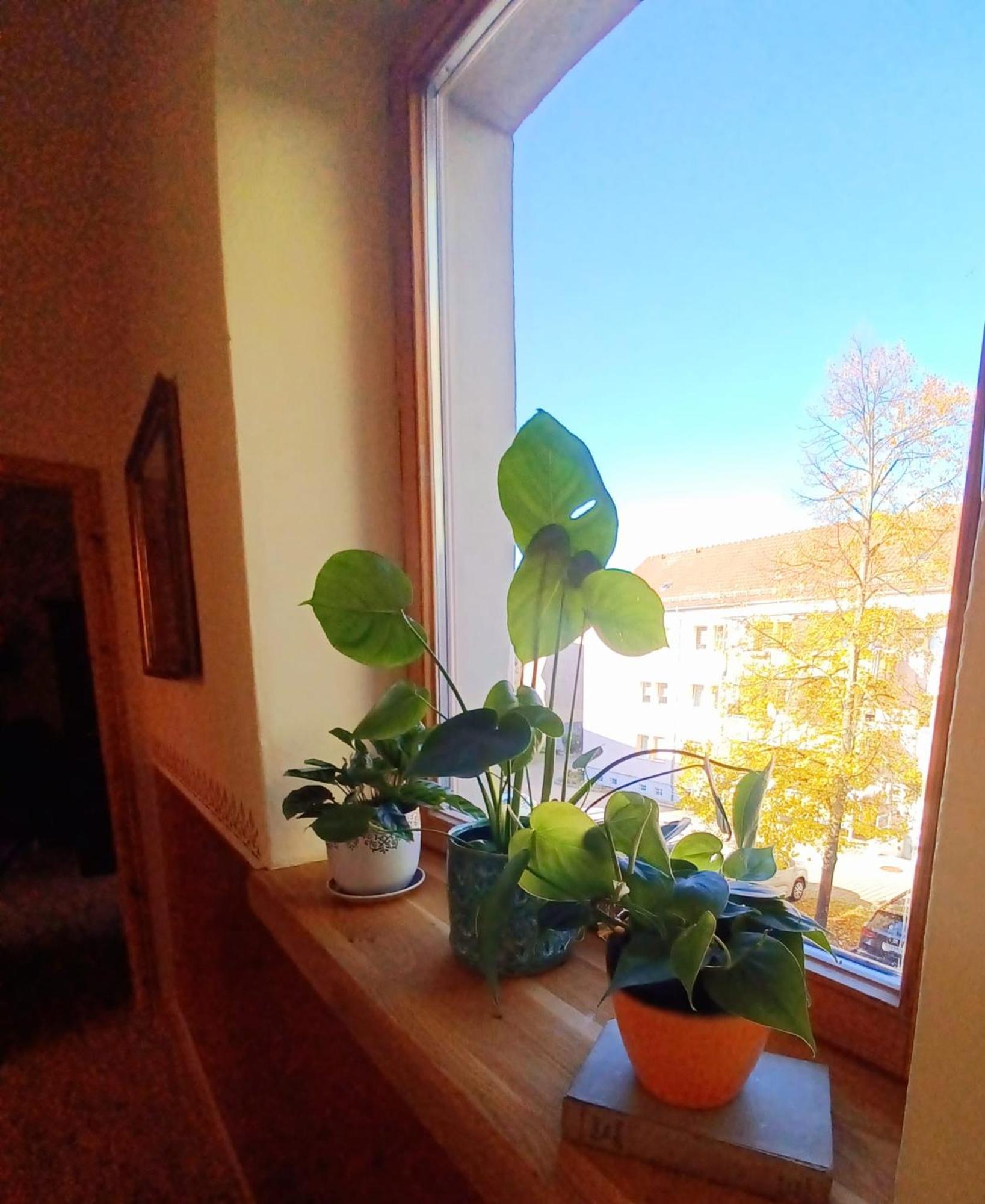 Ferienwohnung Antik Gotha Ngoại thất bức ảnh