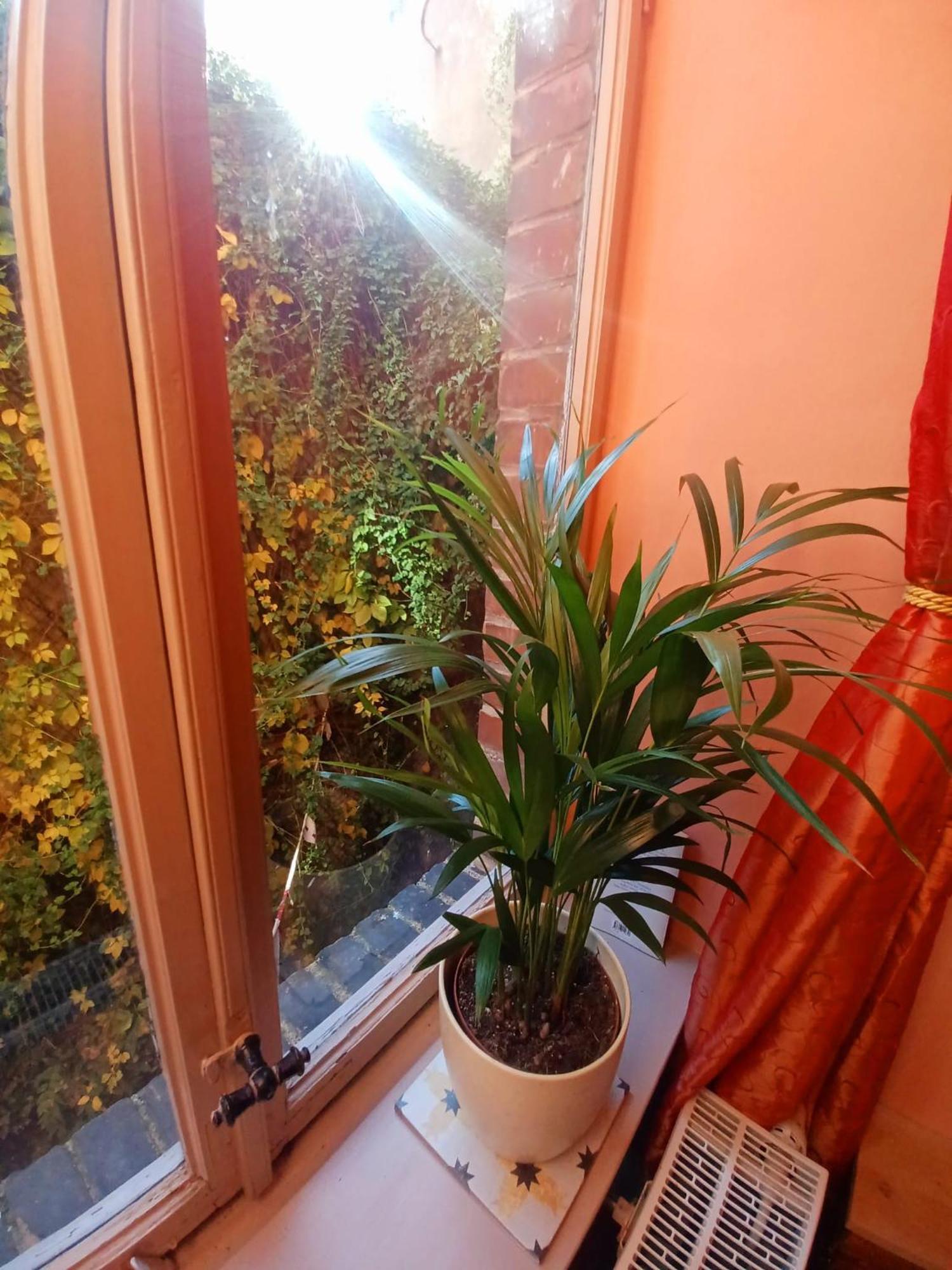 Ferienwohnung Antik Gotha Ngoại thất bức ảnh
